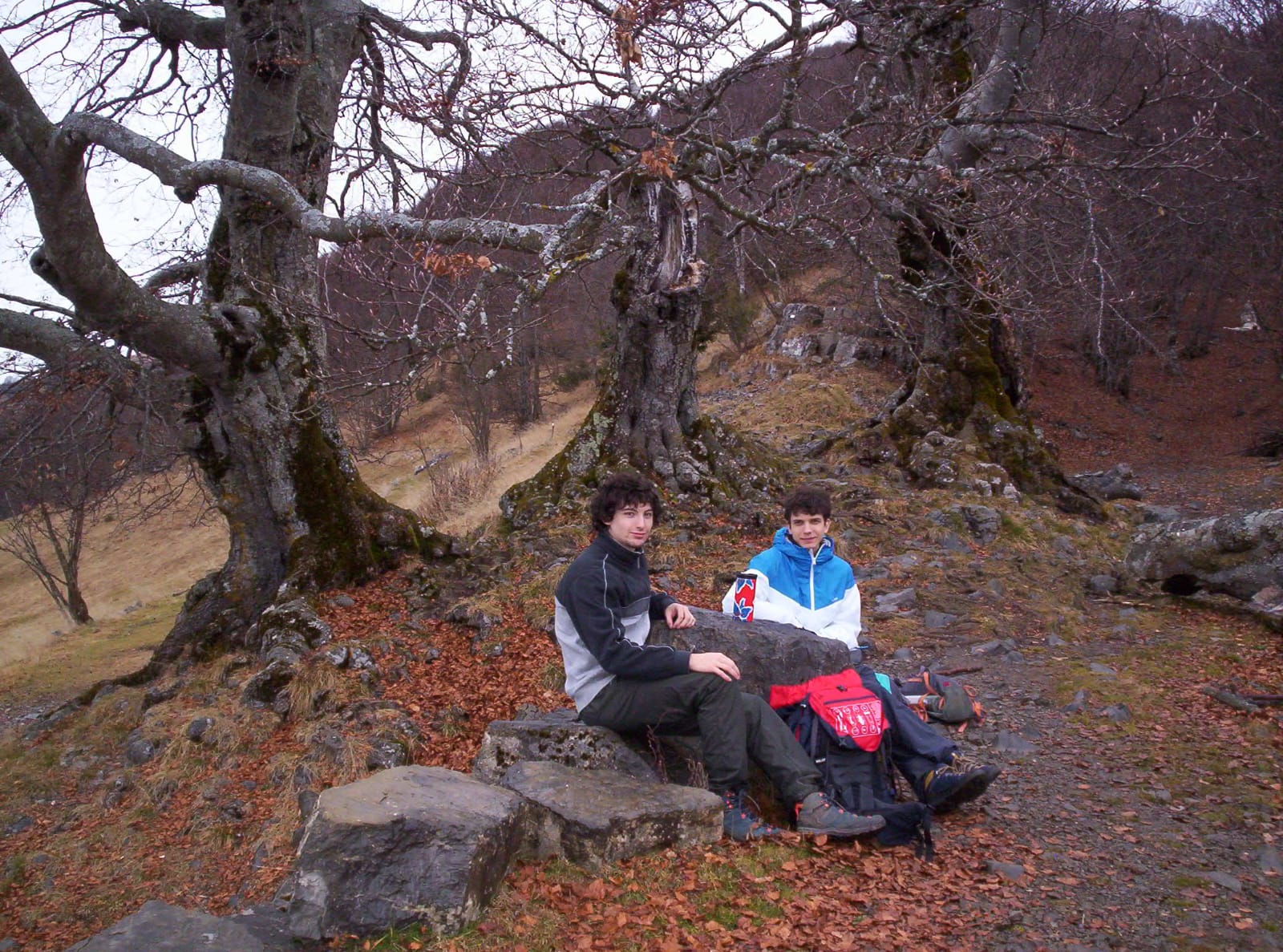 Foto n° 14 del trekking Tre Faggi │ Fuipiano